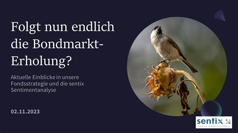 sentix Einblicke (02.11.2023) - YouTube