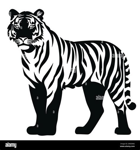 Tiger silhouette. Tiger black icon on white background Stock Vector ...