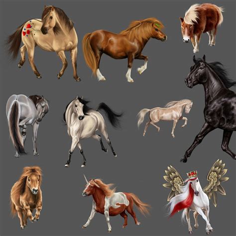 Various Horses By Baldurrka On Deviantart