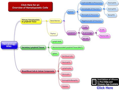 HematologyOutlines - Atlas