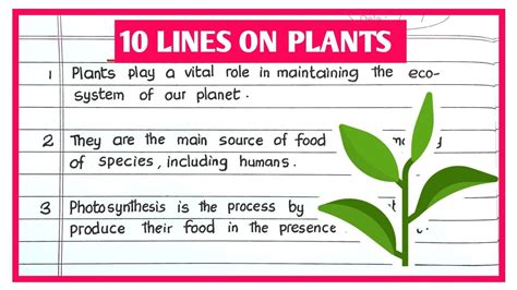 10 Lines On Plants 10 Lines On Plants In English Plant S Essay In