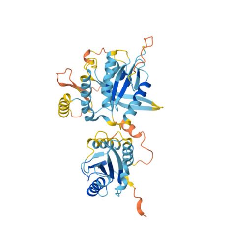 Rcsb Pdb Af Afa A R Q F Computed Structure Model Of Si Dkey F