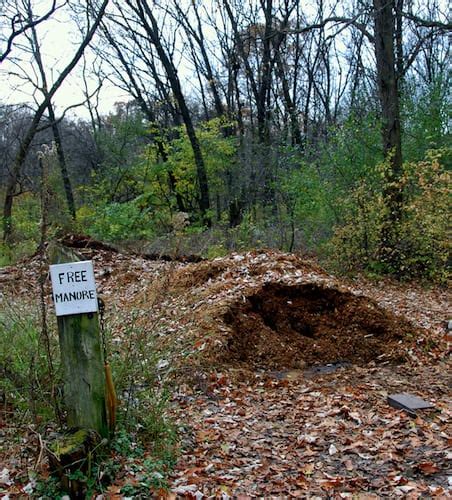 Using Manure as Fertilizer for Gardens - Gardening Channel