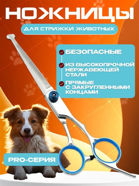 Ножницы для стрижки и груминга животных прямые с закругленными концами ...
