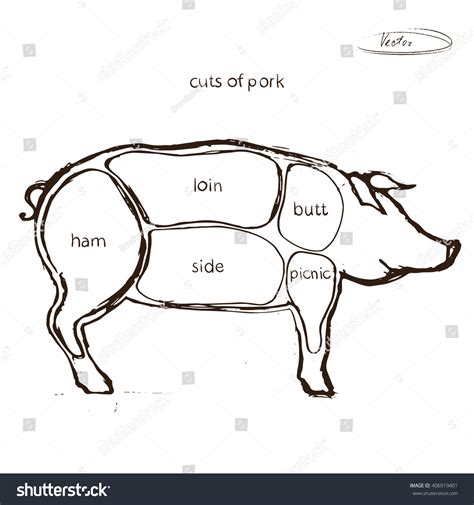 Cuts Pork Diagram Vintage Style Butcher Stock Vector (Royalty Free ...