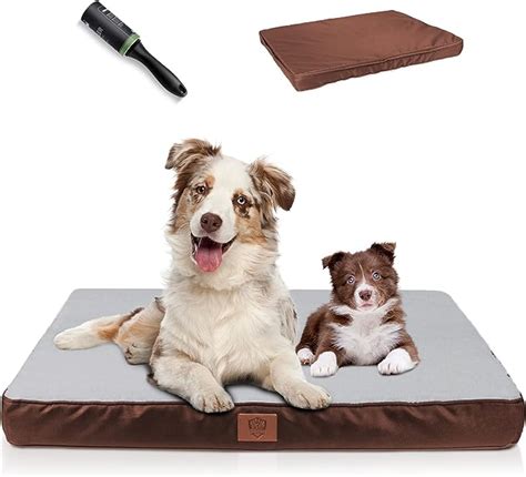 Znm Panier Pour Chiens Tapis Chien Orthopedique Coussin Chien M Moire