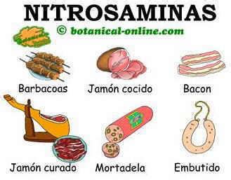 Nitrosaminas En Los Alimentos Botanical Online