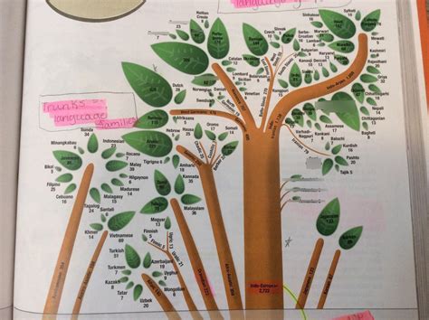 Language tree Diagram | Quizlet