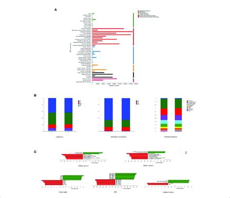 Functional Genes Of The Salivary Microbiome A Genes Related To