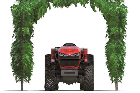 MF 3
