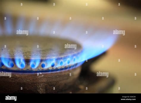 Closeup Of A Blue Gas Stove Flame Stock Photo Alamy