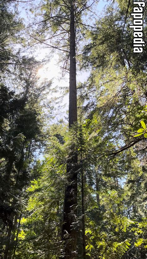 Aelarose Nude OnlyFans Leaks Photo Fapopedia