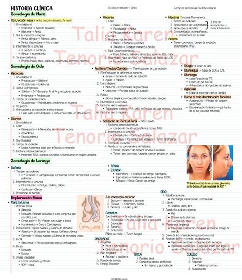 Semiolog A Otorrinolaringolog A Talia Karen Tenorio Salazar Udocz