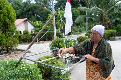 Kebun Cengkih Dan Jalur Rempah Nusantara Di Pulau Nangka