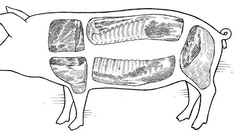 Pork Butt vs Pork Shoulder: What’s the Difference? | Cook's Illustrated
