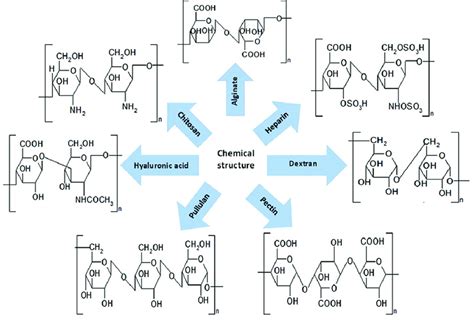 Polysaccharide Chemical Structure