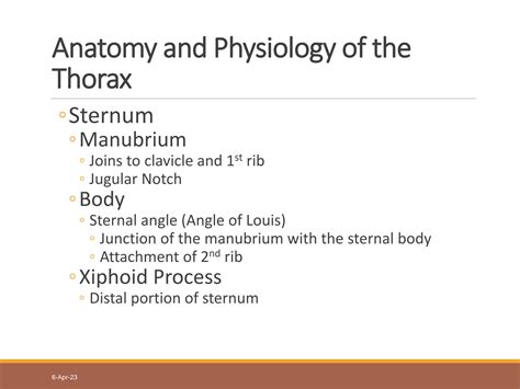 SOLUTION: Chest wall lung anatomy and physiology - Studypool