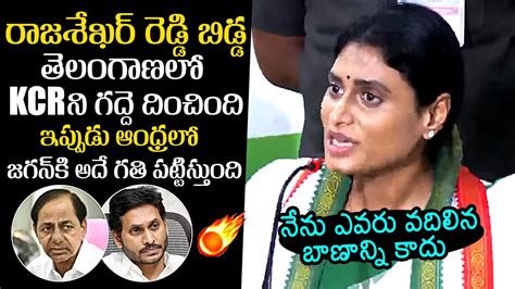 నన ఎవర వదలన బణనన కద AP PCC YS Sharmila Comments On CM YS