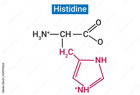 L-histidine (HIS) is an essential amino acid with unique roles in ...