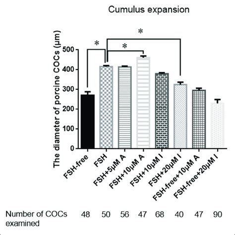 Effects Of CASR Activation Or Inhibition On Cumulus Cell Expansion