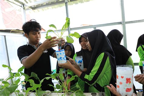 Inilah Cara Bri Peringati Hari Anak Nasional Ajak Siswa Sd Belajar