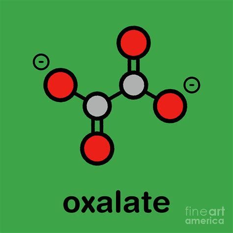 Oxalate Anion Chemical Structure Photograph by Molekuul/science Photo Library - Fine Art America