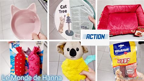 ACTION ARRIVAGE 18 11 ANIMAUX CHIEN CHAT JOUETS YouTube