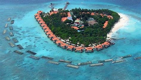 Taj Coral Reef Maldives