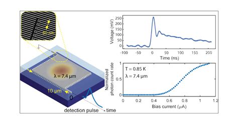 Large Area Superconducting Nanowire Single Photon Detectors For