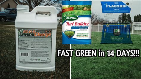 The BEST SPRING Lawn FERTILIZERs For Cool Season Grass GREEN UP In