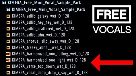 Free Vocal Sample Pack - Royalty Free Vocals - Vocal Sample Pack | By ...