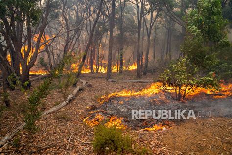 Kebakaran Hutan Di Victoria Pemerintah Australia Keluarkan Perintah