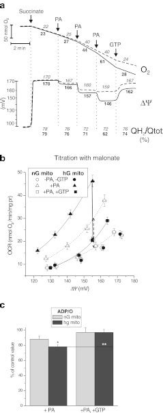 UCP2 Activity In Endothelial Mitochondria From Normal Glucose And