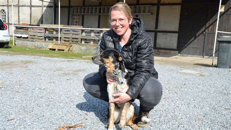 Hundehasser Treibt Sein Unwesen K Der Vergiften Mehrere Vierbeiner