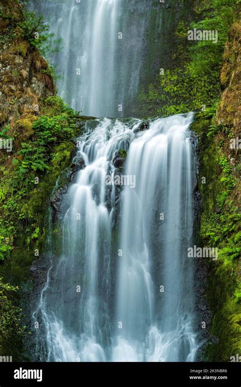 Multnomah Falls, Columbia River Gorge Stock Photo - Alamy