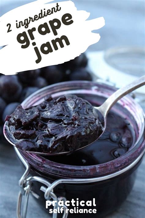 Old Fashioned Grape Jam Recipe Grape Jam Homemade Grape Jelly