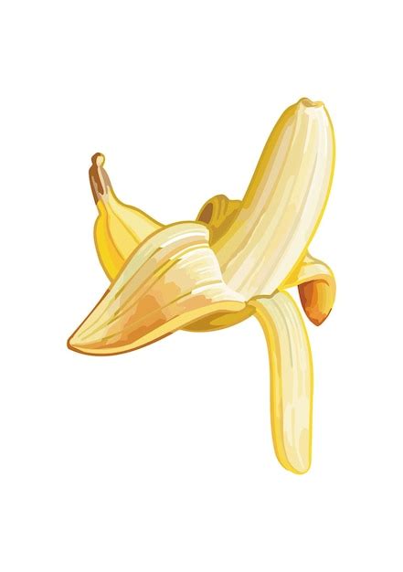 Fruit De La Banane Fruits D Licieux D T Illustration Vectorielle Dans