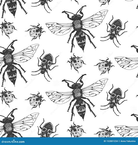 Vector Seamless Pattern With Insects Stock Vector Illustration Of Black Design 152801234