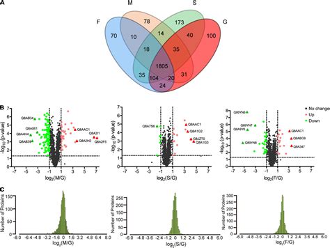 Frontiers Comparative Proteomic Analysis Of Fucosylated Glycoproteins