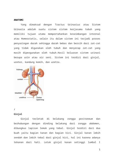 DOCX Nefrolitiasis Refrat DOKUMEN TIPS