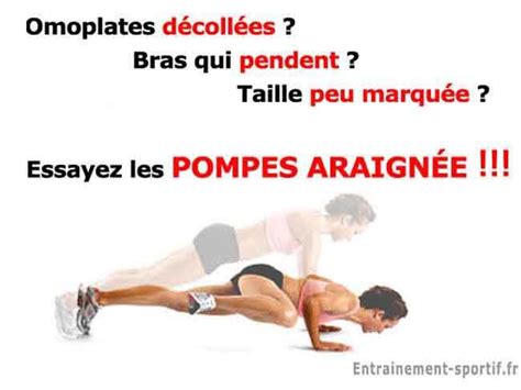 Pompes Exercices Pour Muscler Vos Bras Et Vos Pectoraux