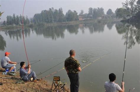 掌握這幾個夏季釣魚的小技巧，不再空軍 每日頭條