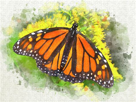 Monarch Butterfly Watercolor