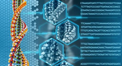 The Basic Concepts Of Genome Assembly Bioinformatics Review