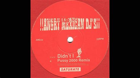 Angry Mexican DJ S Didn T I Pussy 2000 Remix 2000 YouTube