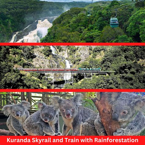 Kuranda Skyrail And Rainforestation Book Online