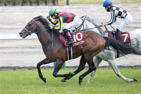 【マイラーズc】シュネルマイスターが貫禄の差し切りv 競馬ニュースなら競馬のおはなし