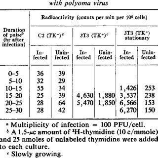 3H Thymidine Incorporation Into DNA Of TK And TK 3T3 Cells After