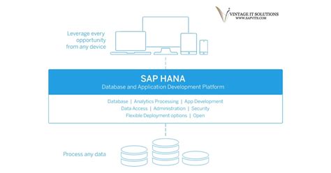 Introducing The Sap Hana Business Benefits Of Sap Hana