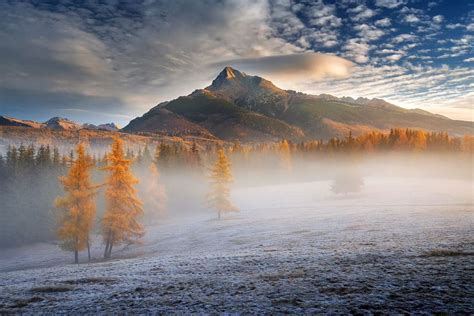 borievkyphotogallery instagram on Pinno SK Jedno z najkrajších rán